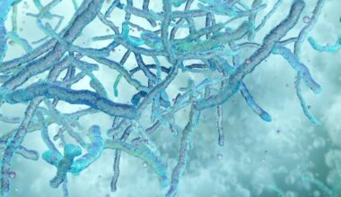 Ultrasensitive test detects tuberculosis DNA in unexpected number of US patients