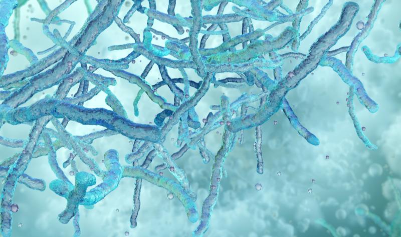 Ultrasensitive test detects tuberculosis DNA in unexpected number of US patients