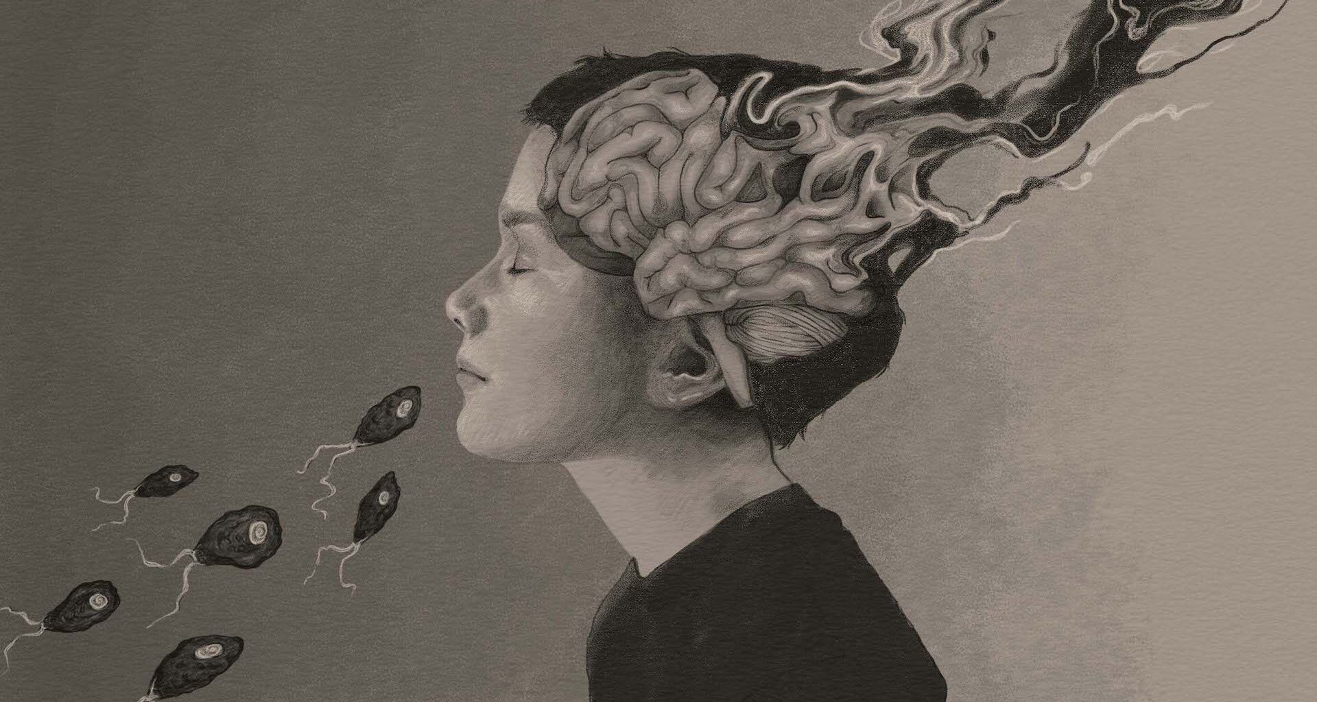 A pencil drawing showing brain eating amoebas entering a boy's nose, and an artistic representation of the boy's brain breaking down