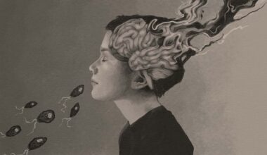 A pencil drawing showing brain eating amoebas entering a boy's nose, and an artistic representation of the boy's brain breaking down