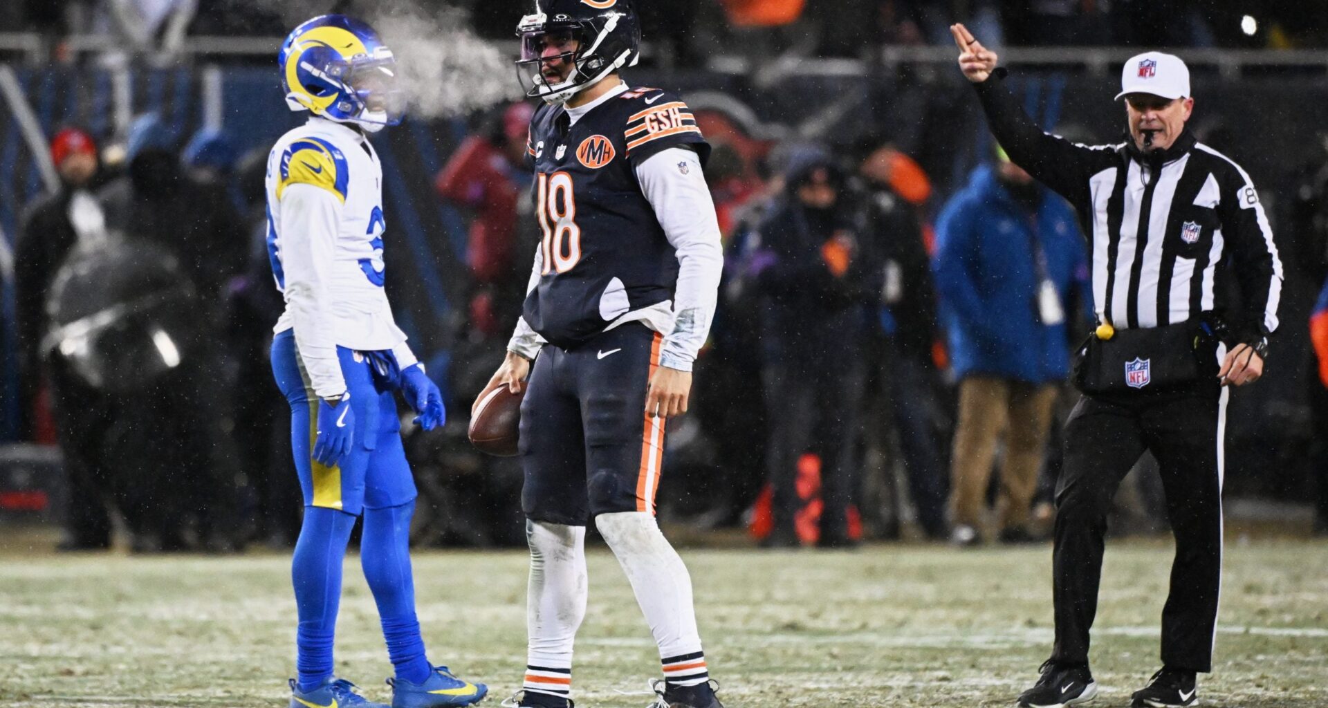 Bears