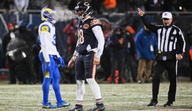 Bears