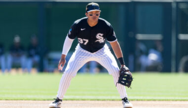 White Sox Place Austin Hays On IL, Select Dustin Harris