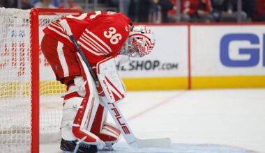 As Red Wings’ playoff drought reaches a decade, this season’s miss hits hardest