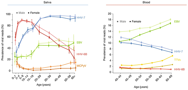 Viral load chart