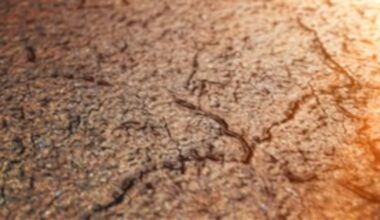 USDA declares extreme drought in Inyo County, 3 Nevada counties