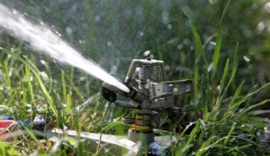 Severe drought prompts new Raleigh lawn watering rules