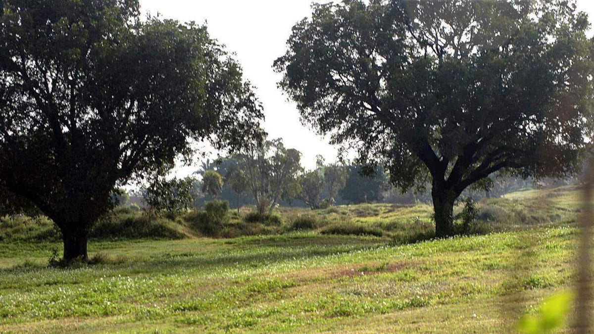 A Florida golf course closed 15 years ago. Now, 500 homes on the way - Tampa Bay Times