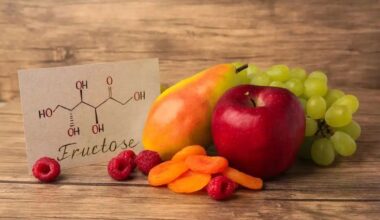 What is Fructose