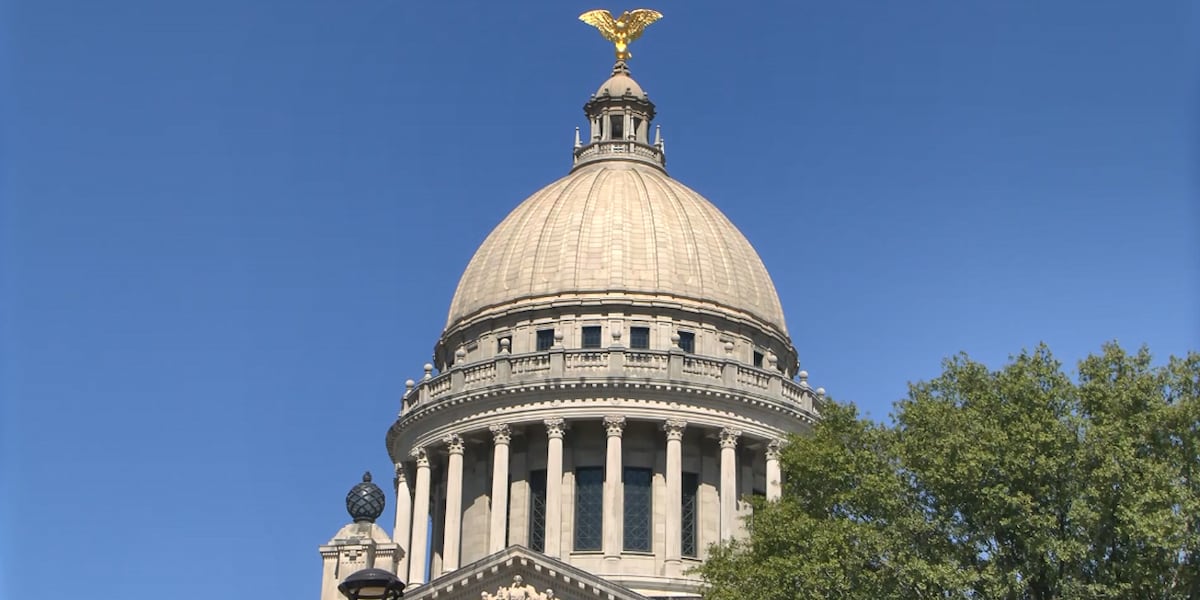 Over $10.5 million in Mississippi taxpayer funds spent on healthcare for illegal immigrants, report says
