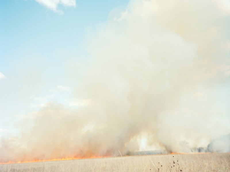 Filter Photo’s annual survey show