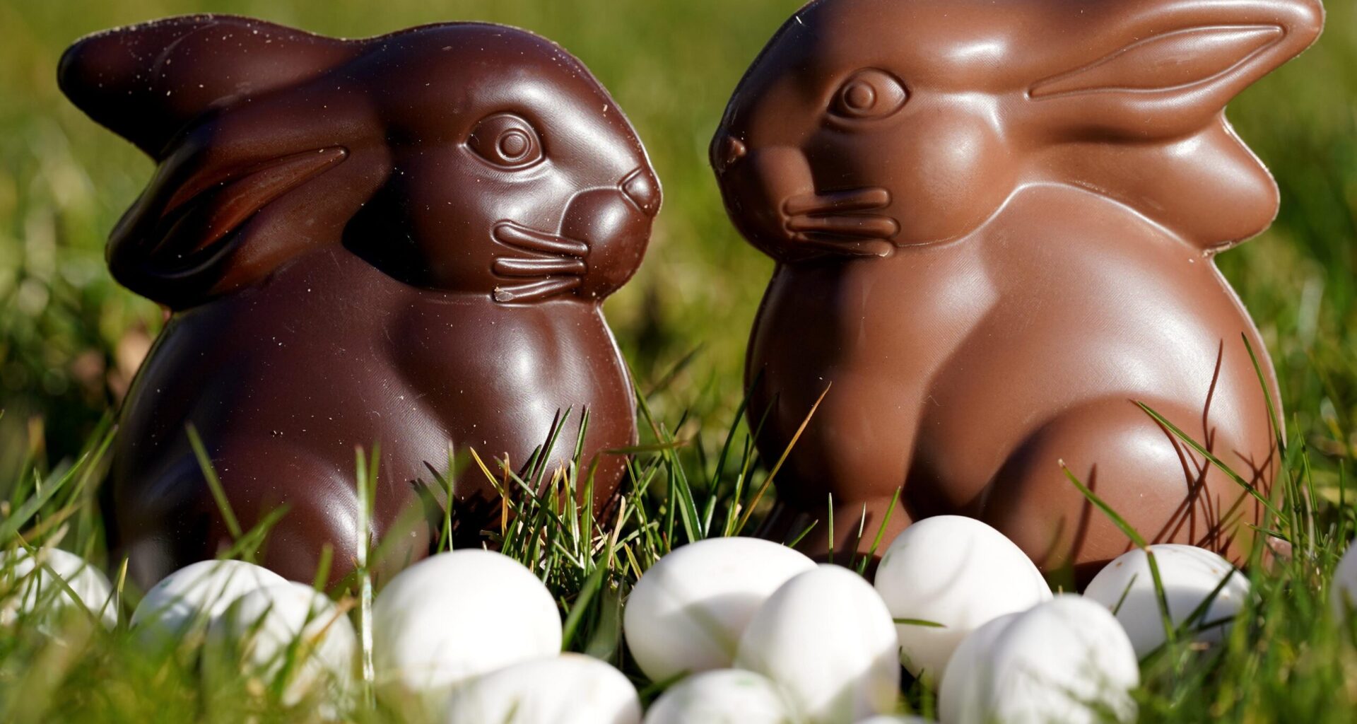 Your Easter chocolate may harm the environment