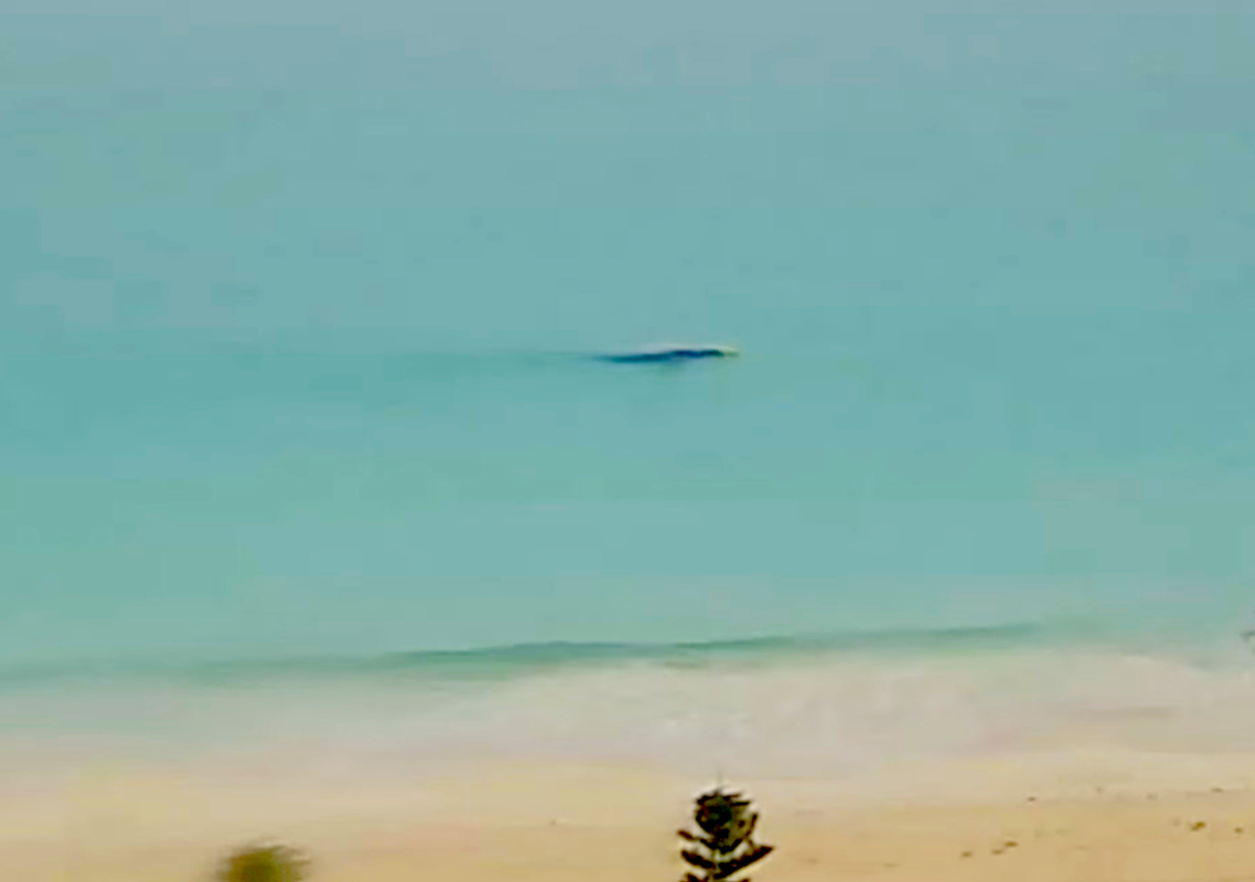 Yahoo lifestyle home