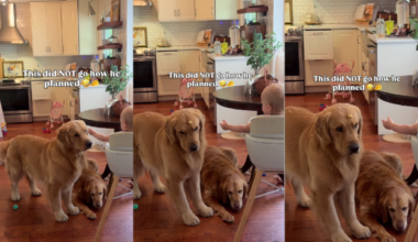 Yahoo lifestyle home