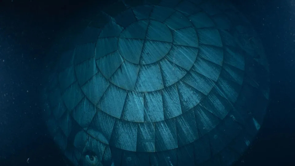 A close up of a circular heat shield made of interlocking rectangular components seen underwater.