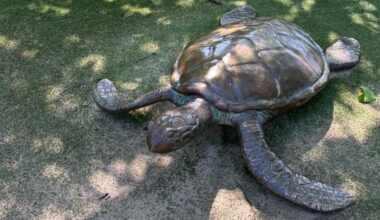 Bronze animal statues stolen from Arbor Lodge Park in North Portland