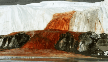 After A Century Of Mystery, Scientists Finally Discover The Cause Of Blood Falls In Antarctica