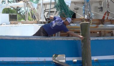 US shrimpers face ‘double whammy’ from soaring fuel costs, tariff refunds