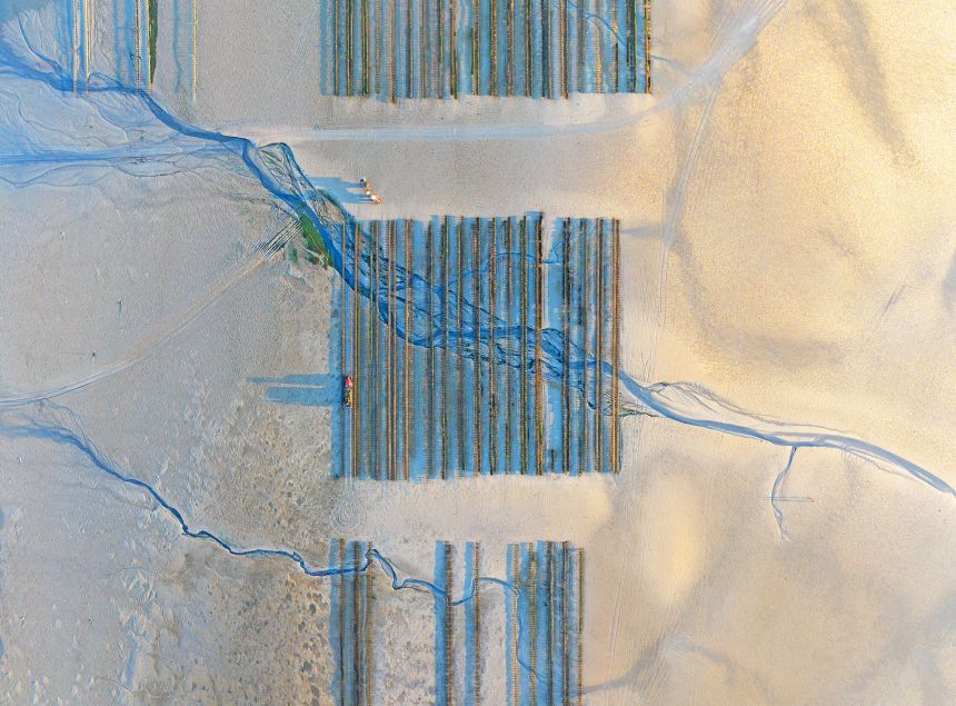 Andreas Secci took second place in the Landscape category for a series of abstract images of oyster farms on the French coast.