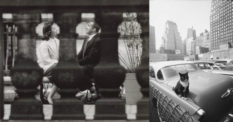 A black-and-white photo collage: on the left, a man and woman sit and talk behind a blurred railing; on the right, a cat sits on a vintage car’s hood in a city parking lot with tall buildings in the background.