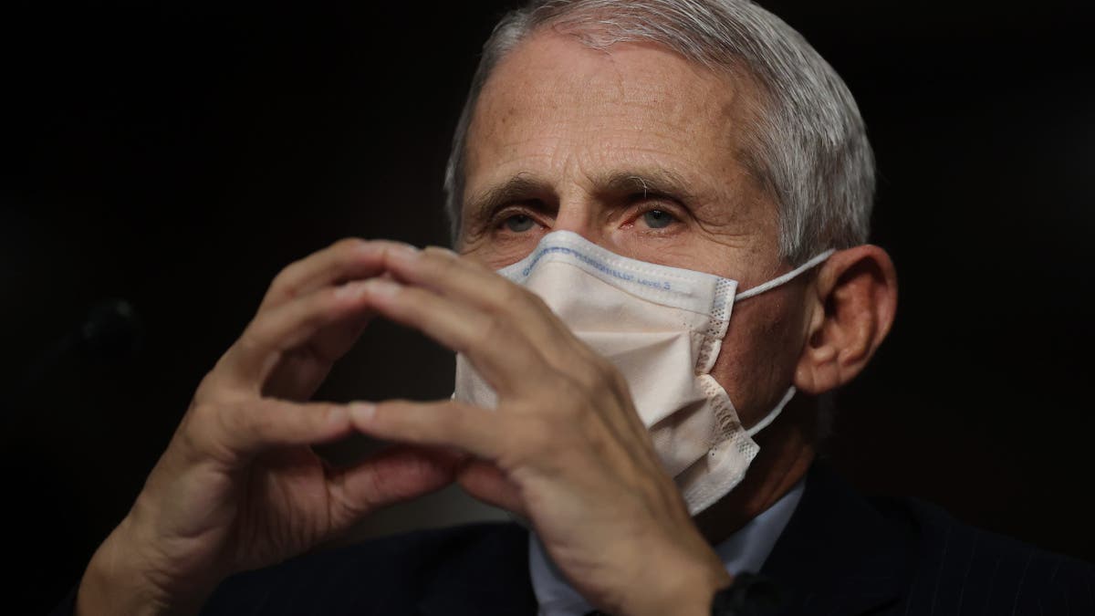 Anthony Fauci speaking before Senate Health Committee in Washington, D.C.