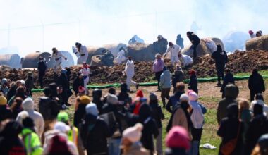 Hundreds trying to storm Wisconsin beagle research facility met with rubber bullets, pepper spray