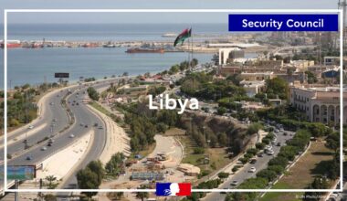 We call upon the Libyan authorities to guarantee the rule of (...)