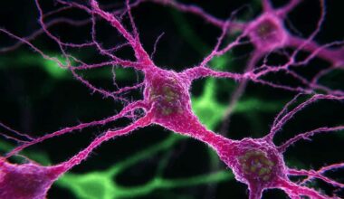 Neuroscience News logo for mobile.