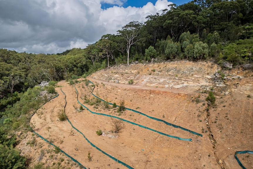 An alleged tree cleared area on a hill on a sunny day.