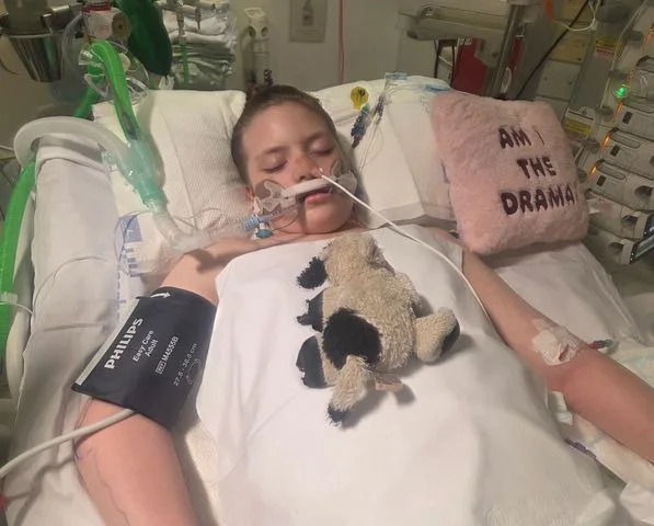 Felicity-Jo Rowlett-HowesCredit: GoFundMe