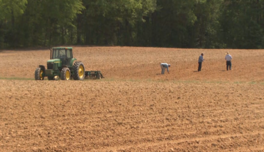 Central NC farmer preparing for worst drought in decades :: WRAL.com