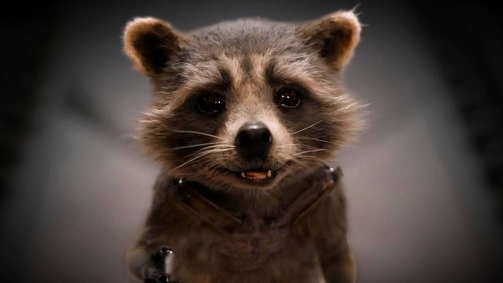 Rocket Raccoon Special Explores Life Before Guardians Of The Galaxy, Per Marvel