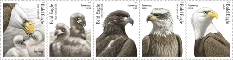 USPS To Release Stamps Honoring National Bird - Newsroom