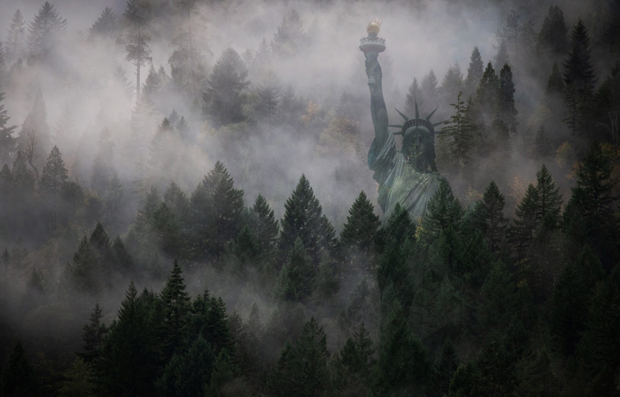 two photographs digitally superimposed, like a double-exposure, depicting the Statue of Liberty and an evergreen forest