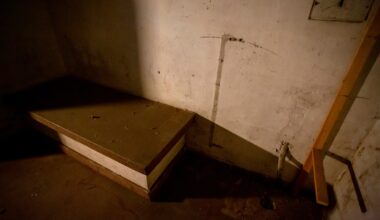 They had to clean solitary cells. What they saw forced them to quit.