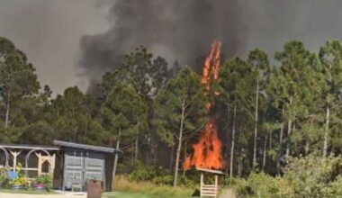 At least 1 home destroyed as brush fire grows to 45 acres near Acorn Blvd in Charlotte County