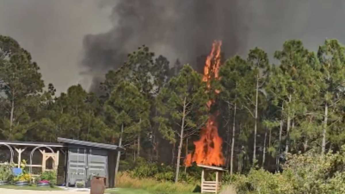 At least 1 home destroyed as brush fire grows to 45 acres near Acorn Blvd in Charlotte County
