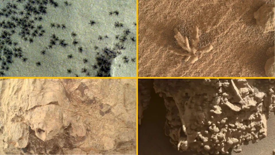 A collage of four rocky features on Mars that look like other animals 