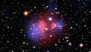 Dark matter in the Bullet Cluster celebrates 20 years