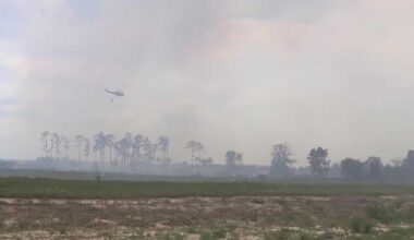 Picayune Strand brush fire grows to 1,733 acres, evacuations ordered in Collier County