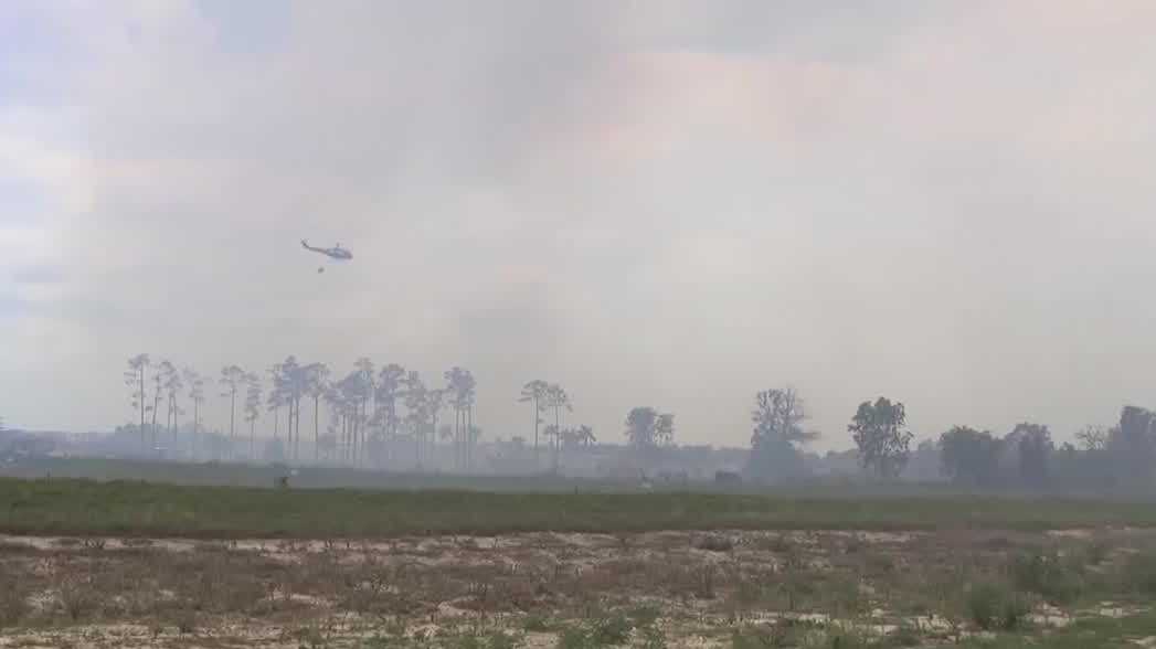 Picayune Strand brush fire grows to 1,733 acres, evacuations ordered in Collier County