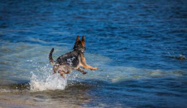 Yahoo lifestyle home