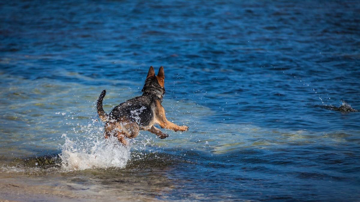 Yahoo lifestyle home