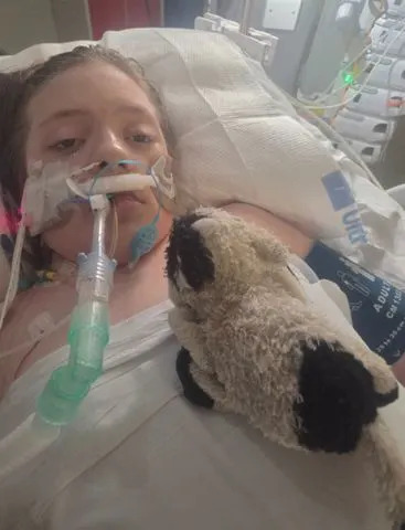 Felicity-Jo Rowlett-HowesCredit: GoFundMe