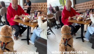 Yahoo lifestyle home