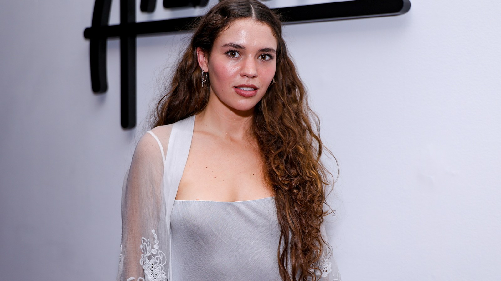 Woman Suing Rebel Wilson for Defamation Is Releasing an Album