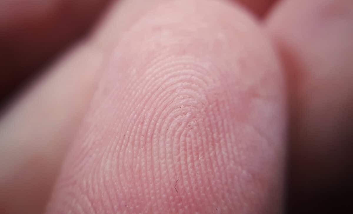 Close Up Of A Macro Photograph Of A Fingerprint Texture On Finger Skin