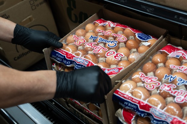 A worker stocks eggs at a grocery store in Portland, Oregon, April 8, 2026. (Jenny Kane/AP)