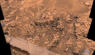NASA's Curiosity Rover Spots Strange Fish-Scale Patterns on Mars