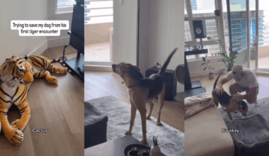 Yahoo lifestyle home